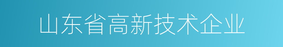 山东省高新技术企业的同义词