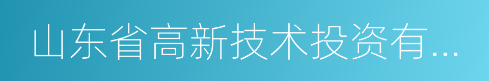 山东省高新技术投资有限公司的同义词