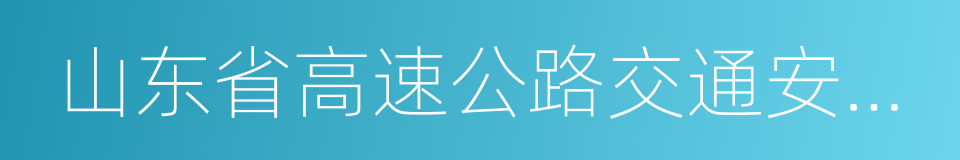 山东省高速公路交通安全条例的同义词