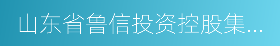 山东省鲁信投资控股集团有限公司的同义词