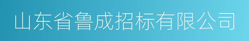 山东省鲁成招标有限公司的同义词