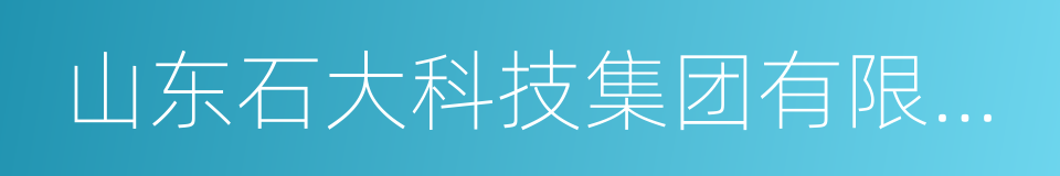 山东石大科技集团有限公司的同义词