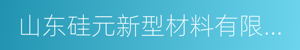 山东硅元新型材料有限责任公司的同义词