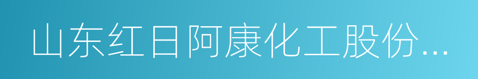 山东红日阿康化工股份有限公司的同义词