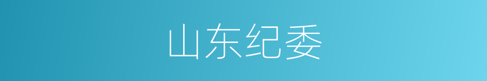 山东纪委的同义词