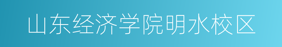 山东经济学院明水校区的同义词
