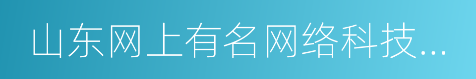 山东网上有名网络科技有限公司的同义词