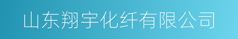 山东翔宇化纤有限公司的同义词