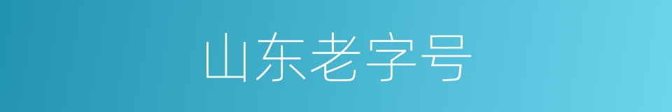 山东老字号的同义词