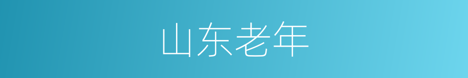 山东老年的同义词