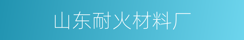 山东耐火材料厂的同义词