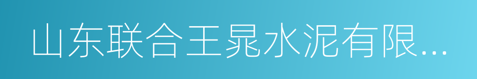 山东联合王晁水泥有限公司的同义词