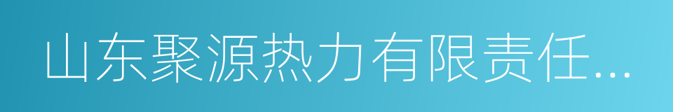 山东聚源热力有限责任公司的同义词