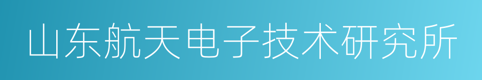 山东航天电子技术研究所的同义词