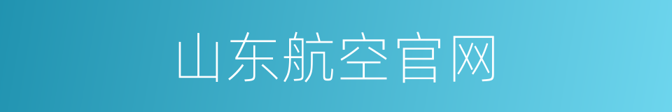 山东航空官网的同义词