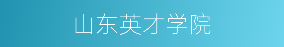 山东英才学院的同义词
