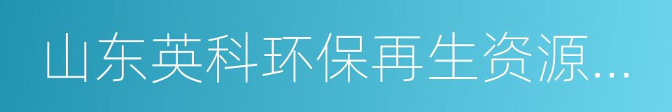 山东英科环保再生资源股份有限公司的同义词