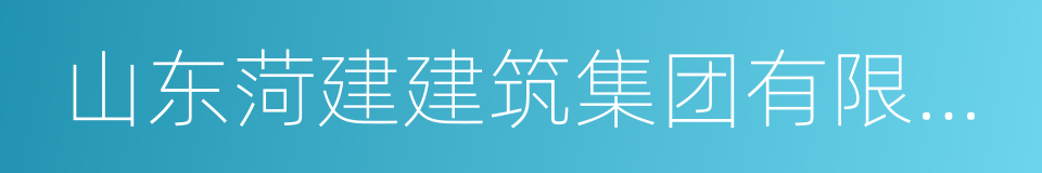 山东菏建建筑集团有限公司的同义词