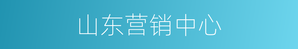 山东营销中心的同义词