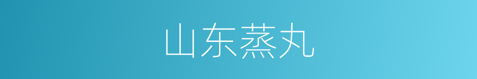 山东蒸丸的同义词