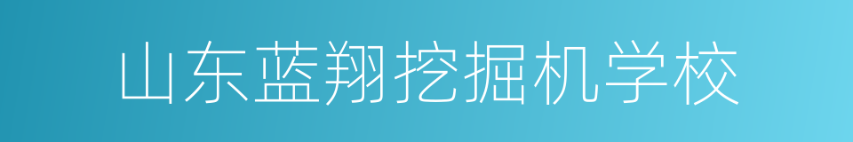 山东蓝翔挖掘机学校的同义词