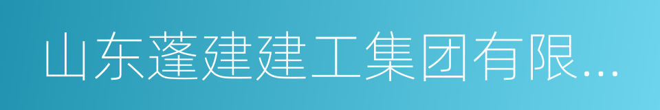 山东蓬建建工集团有限公司的同义词