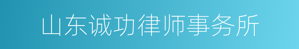 山东诚功律师事务所的同义词