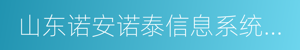 山东诺安诺泰信息系统有限公司的同义词