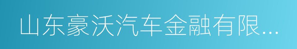 山东豪沃汽车金融有限公司的同义词