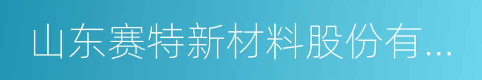 山东赛特新材料股份有限公司的同义词