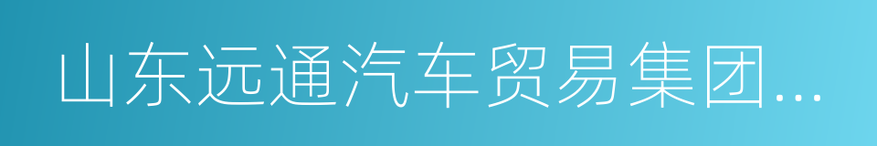 山东远通汽车贸易集团有限公司的同义词