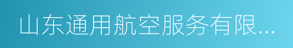 山东通用航空服务有限公司的同义词