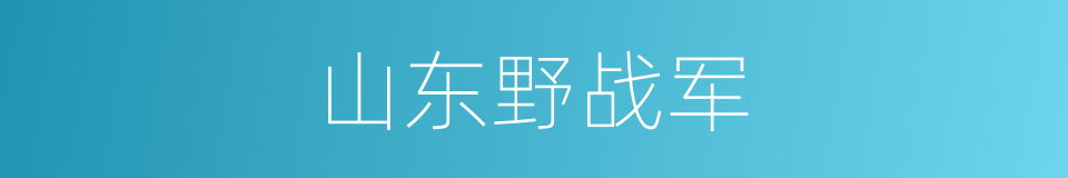 山东野战军的同义词