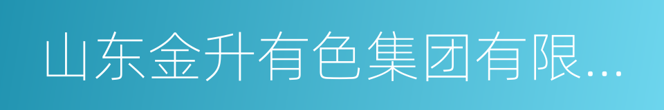 山东金升有色集团有限公司的同义词