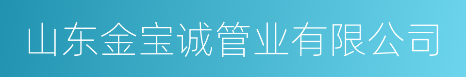 山东金宝诚管业有限公司的同义词