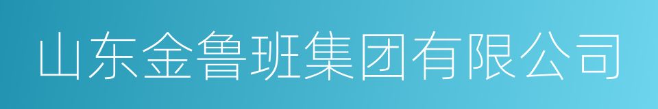 山东金鲁班集团有限公司的同义词