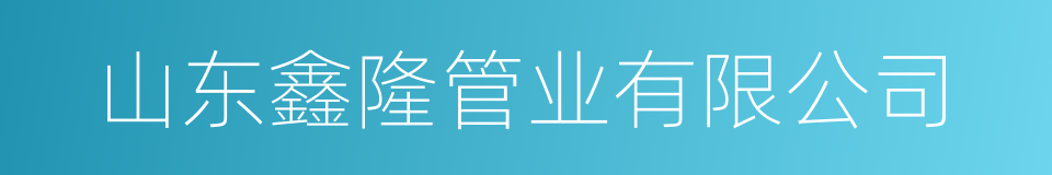 山东鑫隆管业有限公司的同义词