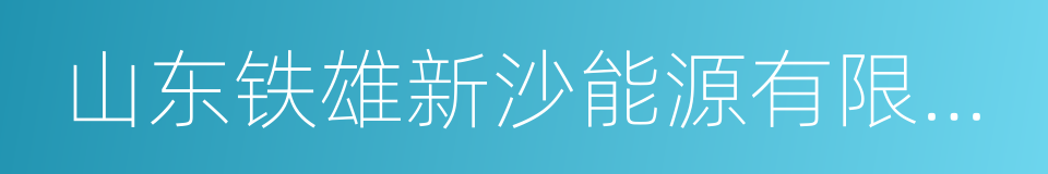 山东铁雄新沙能源有限公司的同义词