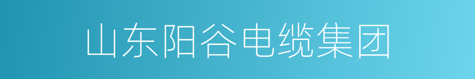 山东阳谷电缆集团的同义词