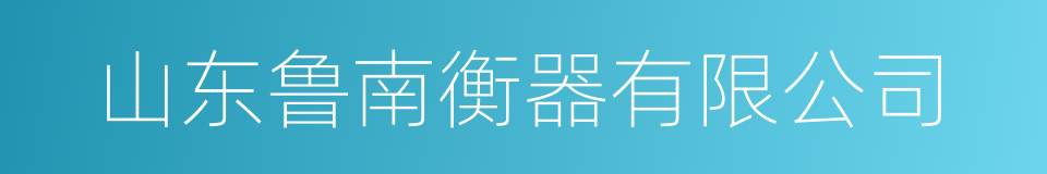 山东鲁南衡器有限公司的同义词