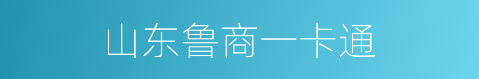 山东鲁商一卡通的同义词