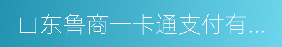 山东鲁商一卡通支付有限公司的同义词