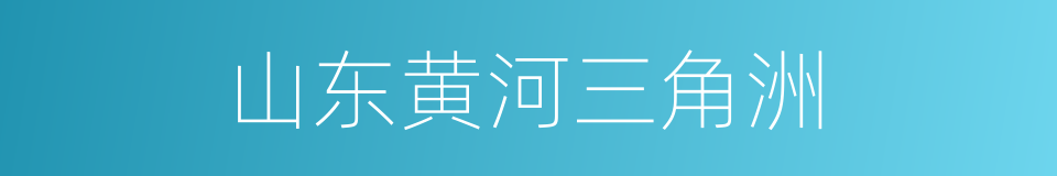 山东黄河三角洲的同义词