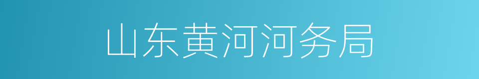 山东黄河河务局的同义词