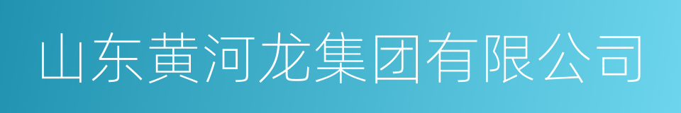 山东黄河龙集团有限公司的同义词