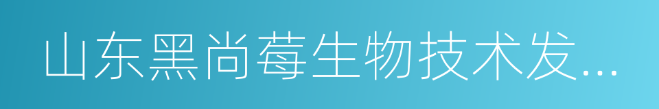 山东黑尚莓生物技术发展股份有限公司的同义词