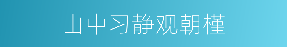 山中习静观朝槿的同义词