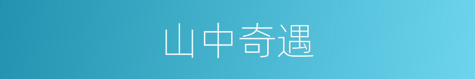 山中奇遇的同义词
