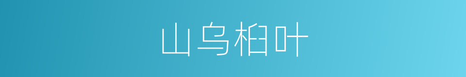 山乌桕叶的同义词