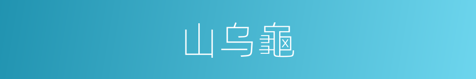 山乌龜的同义词